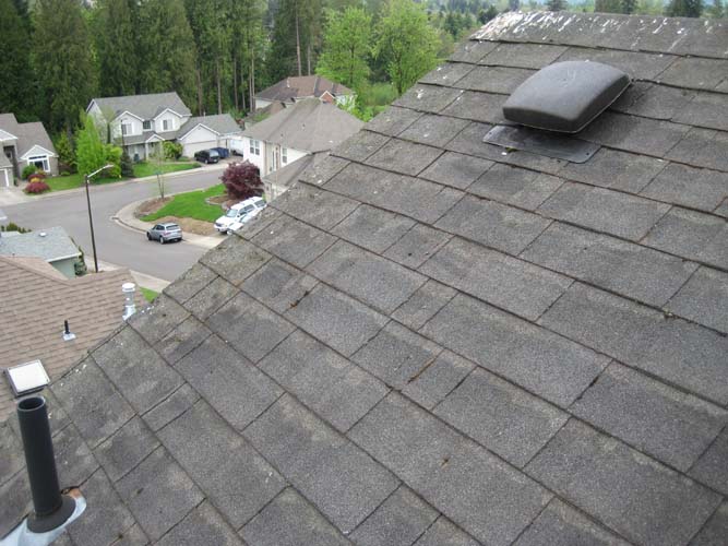 Roof Moss Removal & Cleaning Portland Oregon